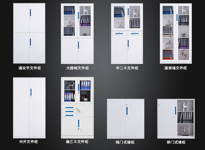 海發(fā)HF-GGLS系列文件柜，鋼制文件柜，辦公文件柜